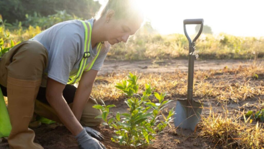 trabajar en canada en el campo
